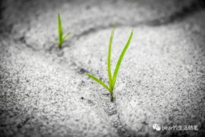 当我想整理和写点东西的时候，我在想什么？