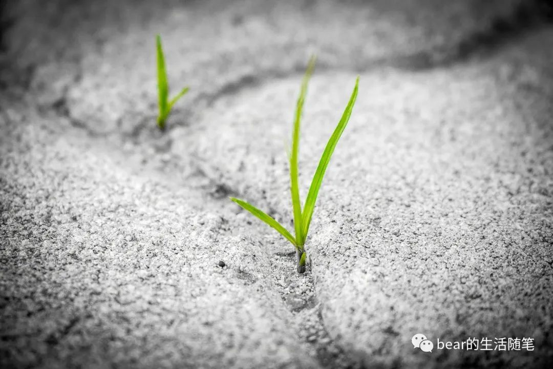 当我想整理和写点东西的时候，我在想什么？