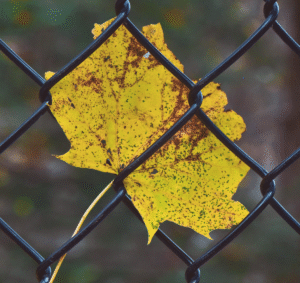 当我们谈选择的时候，我们在害怕什么？