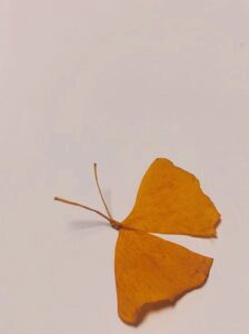 关于excel的一点整理与小结