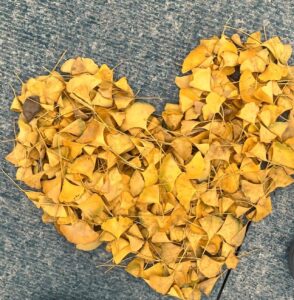 ​Hexo + Github静态博客的搭建