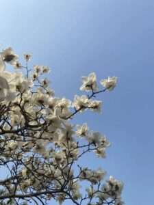 关于在设计院的两年时间