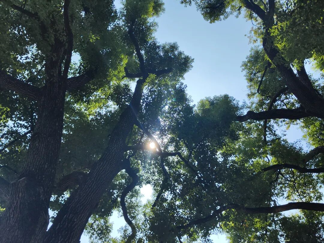 null IMG_20250316_110342