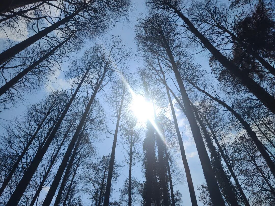 null IMG_20250316_112326