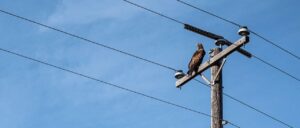 关于索结构的一些知识整理~初识