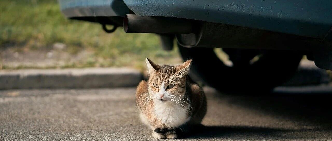 公共经济学-外部性~一