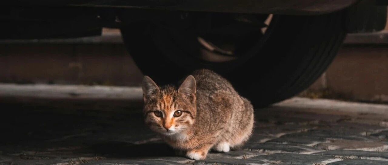 公共经济学-外部性~二