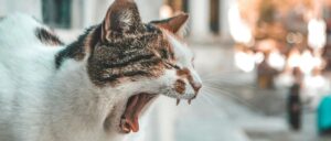 Reading 4 Negotiation Styles