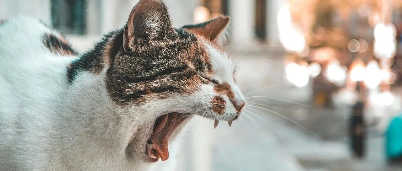 Reading 4 Negotiation Styles